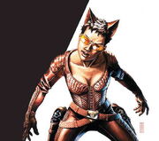 A picture from the comic of Fox in her costume.