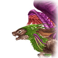 Fae1.png