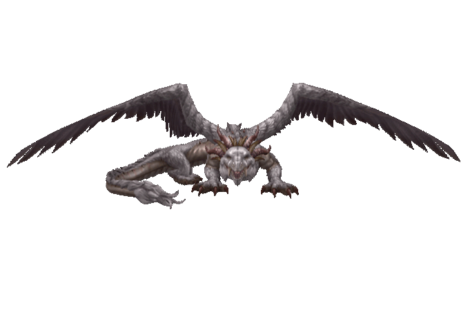 Drg jaculus.gif