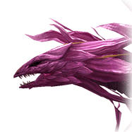 Aster1.png