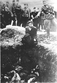 Einsatzgruppen Killing