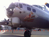 Boeing B-17 Survivors