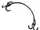Elizabeth Bathory's Bucket Handle
