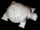 Margo Jones' Stone Turtle