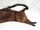 Inuit Water Pouch