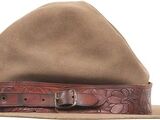 Roy Sullivan's Hat