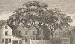 Libertytree1774