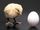 Shifting Chicken Egg