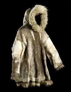 Native cheap american parka