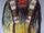 Chief Tecumseh's Robes