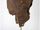 Willie Francis' Leather Hood