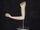 Plastic Mannequin Arm