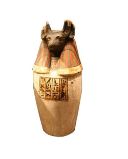 Ufwnou2l9bkml1nmmkx7