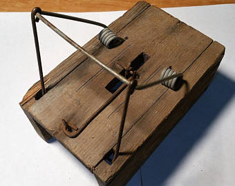 https://static.wikia.nocookie.net/warehouse-13-artifact-database/images/6/61/Primitive_mouse_trap.jpg/revision/latest?cb=20190201192104