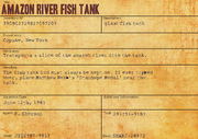 Amazon River Fish Tank