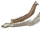 Samson's Jawbone
