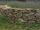 Robert Frost's Stone Wall