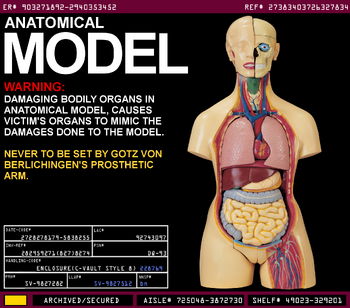 Anatomical Model