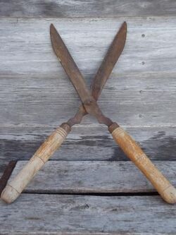 Garden shears