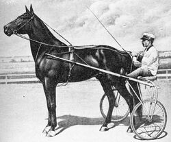 Dan Patch