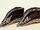 Empress Dowager Cixi's Shoes