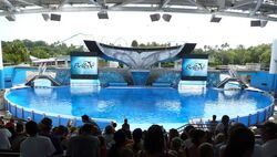 Shamu's Tank