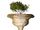Hanging Garden of Babylon