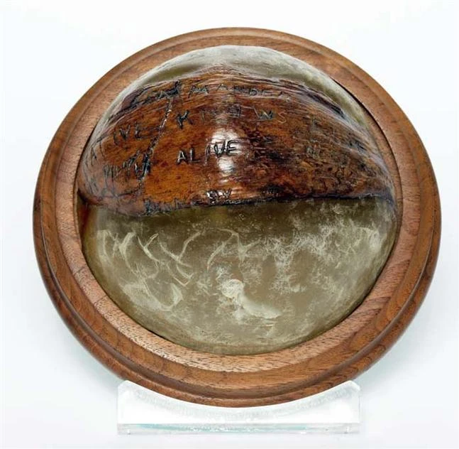 John F. Kennedy's Coconut | Warehouse 13 Artifact Database Wiki