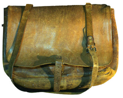 City carrier's messenger bag