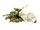 Endless Bag of Catnip