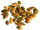 Wangari Maathai's Seeds