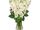 Frank Neuhauser's Bouquet of Gladiolus