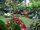 Guy de La Brosse's Garden