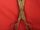 Georg Wilhelm Richmann's Metal Tongs