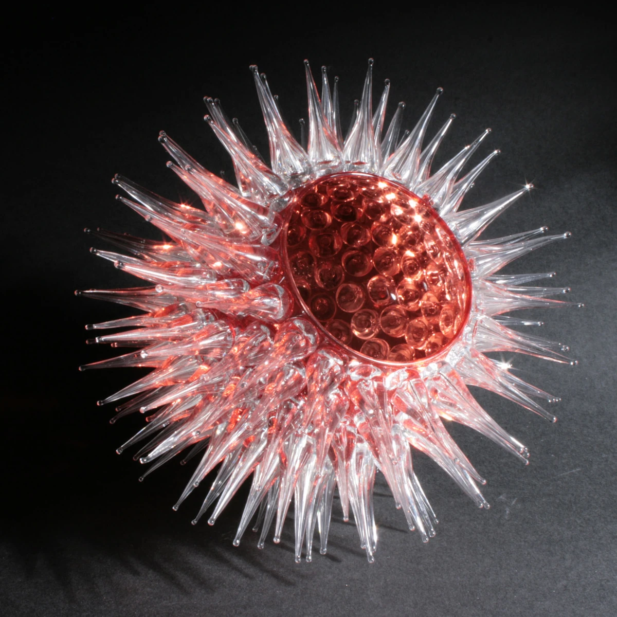"Urchin" Model Paperweight Warehouse 13 Artifact Database Wiki Fandom