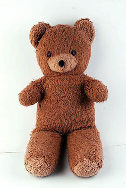 BillyHodgsonTeddyBear