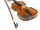 Yehudi Menuhin's Violin