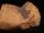 Stonewall Jackson's Piece of Shrapnel