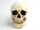 Yorick's Skull