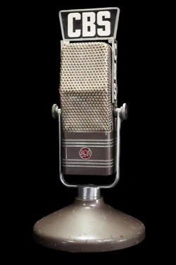 Ribbon microphone