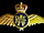 Charles Portal's RAF Pin