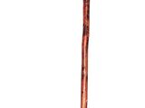 Moses' Staff