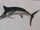 Ernest Hemingway's Stuffed Marlin