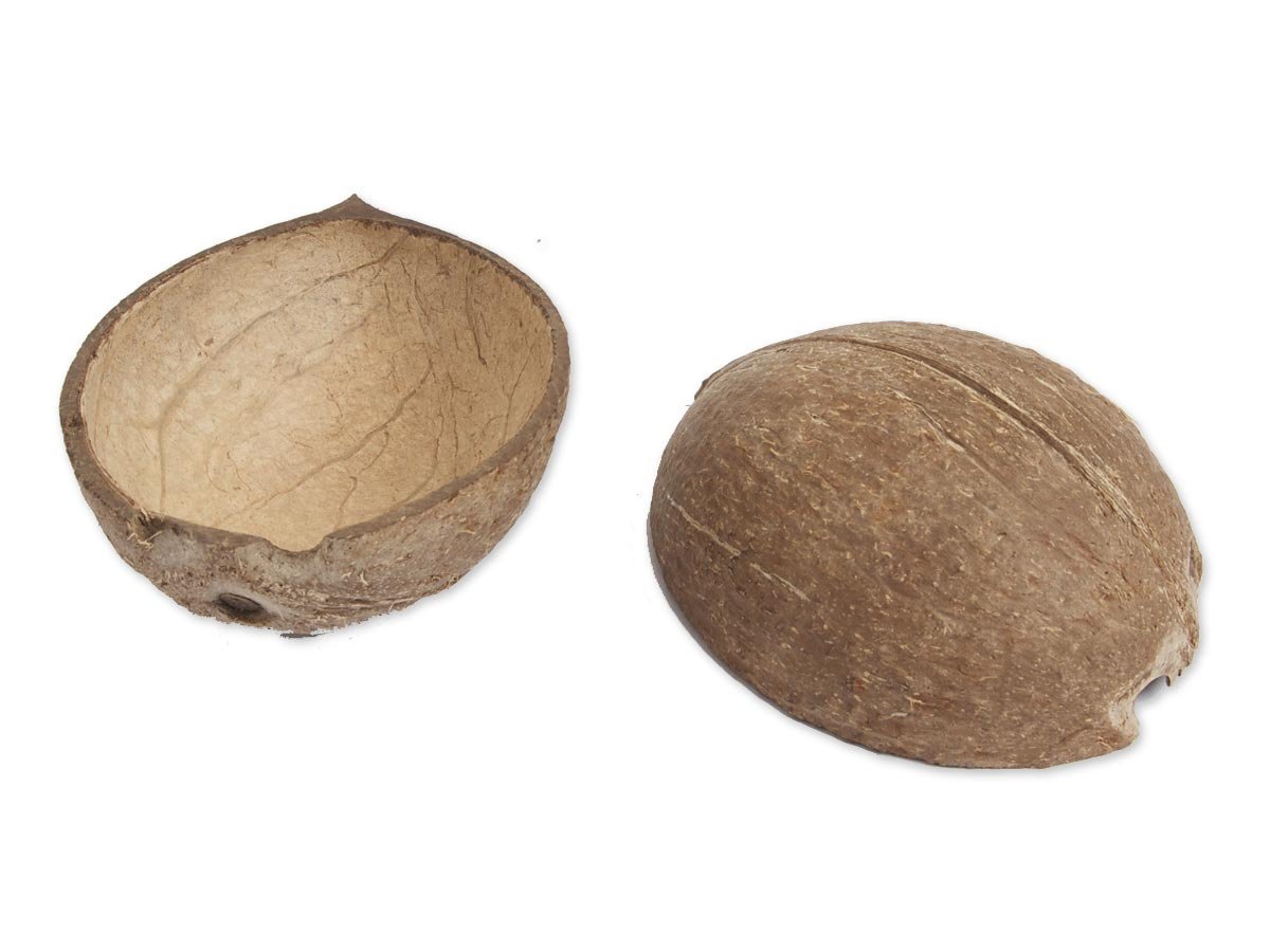 Coconut Shells from Monty Python and the Holy Grail