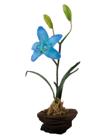 Chinese Orchid Warehouse 13 Wiki Fandom
