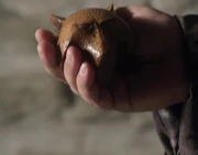 Evil Artie holding the artifact