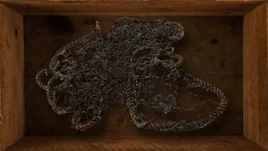 Colerdige's Fishing Net