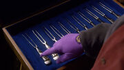 Louie's Forks