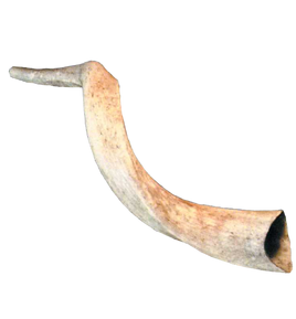 Joshua's Horn (Cut)