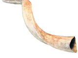 Joshua's Trumpet